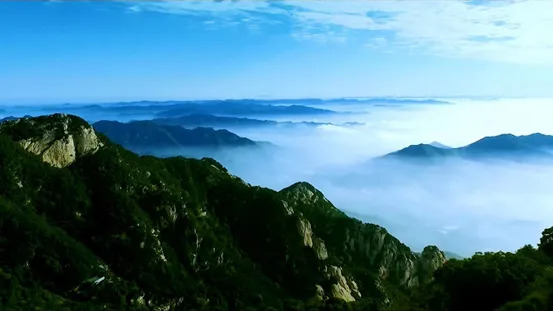 跳出山东看鲁酒，，，，，，开元游戏大厅app为何一枝独秀？？？_开元游戏大厅app|稳如开元游戏大厅app|五岳独尊|开元游戏大厅app特曲|酒神酒仙|金开元游戏大厅app|年份小窖